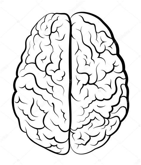 Imágenes: cerebro humano para colorear | Cerebro humano: Aprender como Dibujar Fácil con este Paso a Paso, dibujos de A Cerbero, como dibujar A Cerbero para colorear