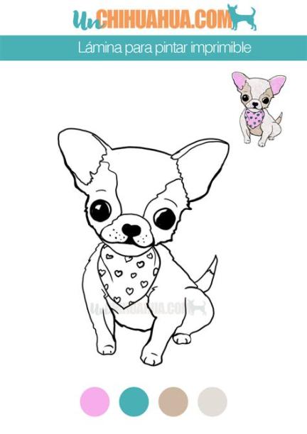 Dibujo de chihuahua para colorear gratis - Un Chihuahua: Dibujar y Colorear Fácil, dibujos de A Chiguaka, como dibujar A Chiguaka paso a paso para colorear