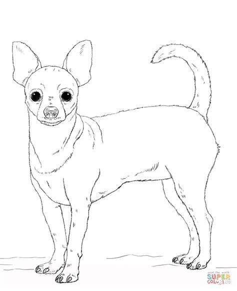 Dibujo de Perro Chihuahua para colorear | Dibujos para: Aprende como Dibujar Fácil, dibujos de A Chiguaka, como dibujar A Chiguaka para colorear