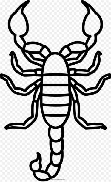 Escorpión. Dibujo. Libro Para Colorear imagen png: Aprender a Dibujar Fácil, dibujos de A Escorpion, como dibujar A Escorpion para colorear