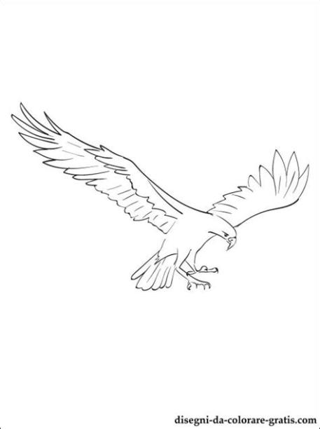 Halcón #12 (Animales) – Páginas para colorear: Aprende a Dibujar Fácil, dibujos de A Falco, como dibujar A Falco paso a paso para colorear