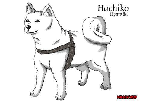 Hachiko by GralMaka on DeviantArt: Aprender a Dibujar y Colorear Fácil, dibujos de A Hachiko, como dibujar A Hachiko paso a paso para colorear