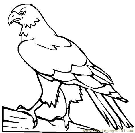 Hawk Coloring Page - Free Hawk Coloring Pages: Aprende a Dibujar y Colorear Fácil con este Paso a Paso, dibujos de A Hawks, como dibujar A Hawks para colorear