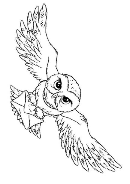 Dibujos de Harry Potter para colorear | Dibujos de harry: Dibujar y Colorear Fácil, dibujos de A Hedwig, como dibujar A Hedwig para colorear e imprimir