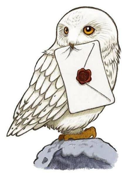 Hedwig dibujo para fondo de pantalla Dibujos para colorear: Aprender a Dibujar y Colorear Fácil, dibujos de A Hedwig, como dibujar A Hedwig paso a paso para colorear