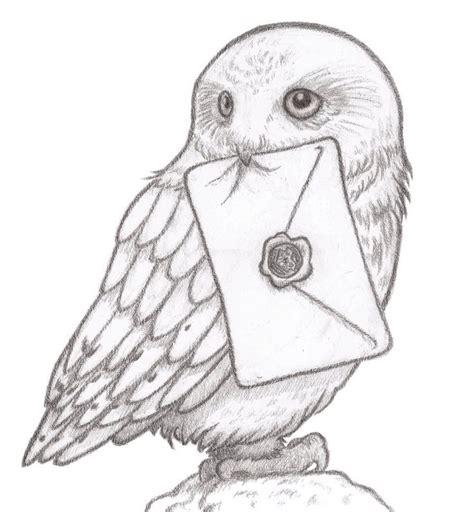 Hedwig dibujo para fondo de pantalla Dibujos para colorear: Dibujar y Colorear Fácil, dibujos de A Hedwig, como dibujar A Hedwig para colorear