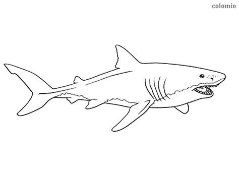 Dibujos de Tiburones para colorear » Imágenes de: Dibujar Fácil con este Paso a Paso, dibujos de A King Shark, como dibujar A King Shark para colorear e imprimir