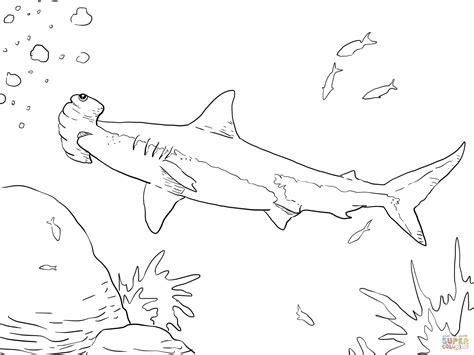 hammerhead shark coloring pages - Clip Art Library: Dibujar y Colorear Fácil con este Paso a Paso, dibujos de A King Shark, como dibujar A King Shark paso a paso para colorear