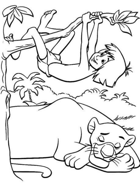 Dibujos para colorear – Mowgli. para desarrollar la: Dibujar y Colorear Fácil, dibujos de A Mowgli, como dibujar A Mowgli para colorear e imprimir