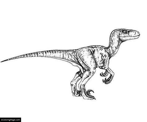 Velociraptor Para Colorear: Aprender a Dibujar y Colorear Fácil, dibujos de A Raptor, como dibujar A Raptor para colorear e imprimir