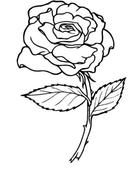 Los dibujos para colorear : Dibujos de rosas para colorear: Aprender como Dibujar Fácil con este Paso a Paso, dibujos de A Rosa, como dibujar A Rosa para colorear e imprimir