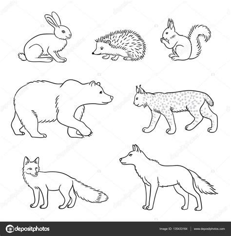 Imágenes: animales de la taiga para dibujar | Conjunto de: Aprende a Dibujar y Colorear Fácil, dibujos de A Taiga, como dibujar A Taiga paso a paso para colorear