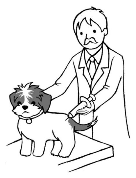 Veterinaria. Semana de las Mascotas. consejos para tener: Aprende como Dibujar Fácil con este Paso a Paso, dibujos de A Tu Perro, como dibujar A Tu Perro para colorear e imprimir