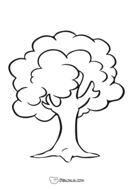 Árbol encina - Photo #3 - Dibujalia - Dibujos y Fichas: Aprende a Dibujar Fácil con este Paso a Paso, dibujos de A Un Arbol, como dibujar A Un Arbol para colorear