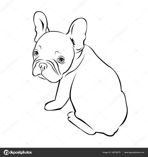Dibujos: bulldog frances para colorear | perro vector raza: Dibujar Fácil, dibujos de A Un Bulldog Frances, como dibujar A Un Bulldog Frances paso a paso para colorear