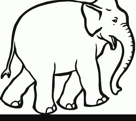 Dibujos de elefantes para colorear. Dibujos de elefantes: Aprender a Dibujar Fácil, dibujos de A Un Elefante, como dibujar A Un Elefante paso a paso para colorear