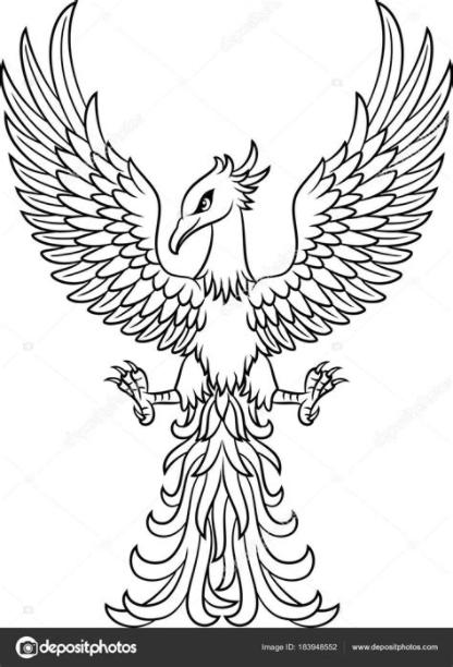 Vector: phoenix bird art | Ilustración Vector Tatuaje Ave: Aprende como Dibujar y Colorear Fácil con este Paso a Paso, dibujos de A Un Fenix, como dibujar A Un Fenix para colorear