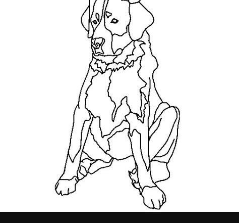 Dibujo de Labrador para Colorear - Dibujos.net: Aprender a Dibujar y Colorear Fácil con este Paso a Paso, dibujos de A Un Labrador, como dibujar A Un Labrador para colorear