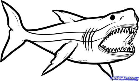 Pin by Jorge Baca Martínez on great ideas | Shark: Dibujar y Colorear Fácil con este Paso a Paso, dibujos de A Un Megalodon, como dibujar A Un Megalodon para colorear e imprimir