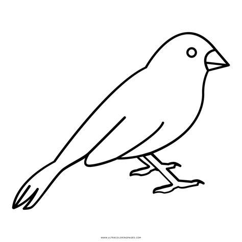Dibujo De Pájaro Para Colorear - Ultra Coloring Pages: Dibujar Fácil con este Paso a Paso, dibujos de A Un Pajaro, como dibujar A Un Pajaro paso a paso para colorear