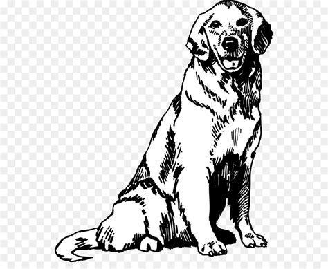 Dibujos Para Colorear De Perros Golden Retriever: Dibujar Fácil, dibujos de A Un Perro Golden Retriever, como dibujar A Un Perro Golden Retriever para colorear