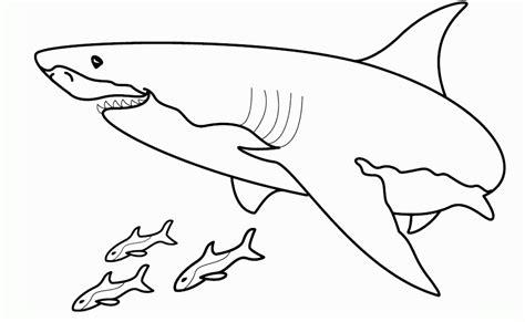 Tiburón blanco para dibujar - Imagui: Aprender a Dibujar Fácil con este Paso a Paso, dibujos de A Un Tiburon Blanco, como dibujar A Un Tiburon Blanco paso a paso para colorear