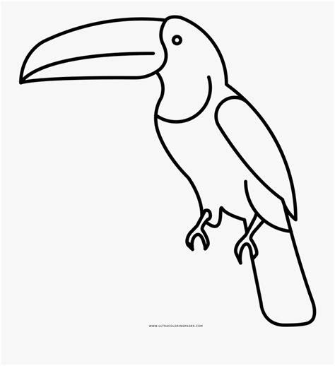 Dibujos Para Colorear De Tucan: Dibujar y Colorear Fácil con este Paso a Paso, dibujos de A Un Tucan, como dibujar A Un Tucan paso a paso para colorear