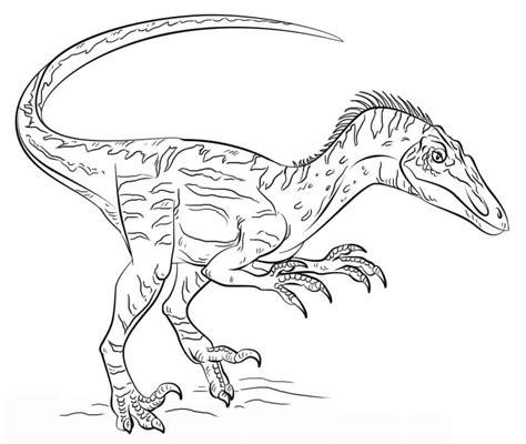 Dibujos de Velociraptor 2 para Colorear para Colorear: Dibujar y Colorear Fácil con este Paso a Paso, dibujos de A Un Velociraptor, como dibujar A Un Velociraptor para colorear e imprimir