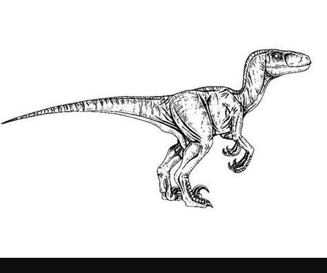 Velociraptor Para Colorear: Aprende como Dibujar y Colorear Fácil, dibujos de A Un Velociraptor, como dibujar A Un Velociraptor paso a paso para colorear