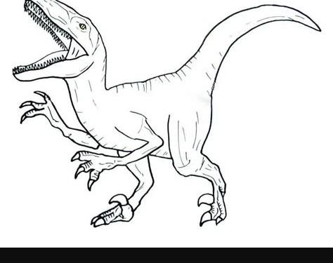 Velociraptor Coloring Pages - Free Printable Coloring: Dibujar y Colorear Fácil con este Paso a Paso, dibujos de A Un Velociraptor, como dibujar A Un Velociraptor para colorear