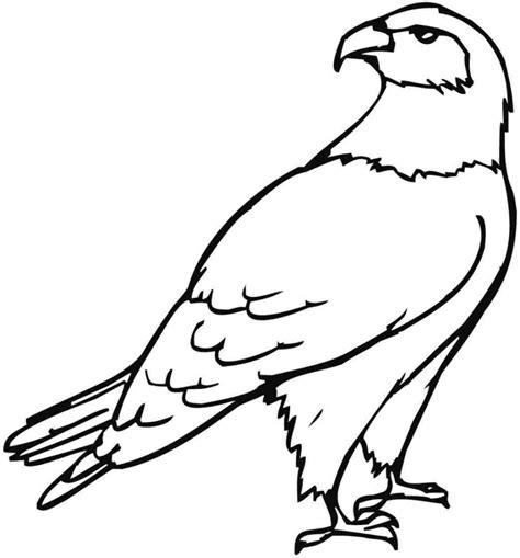 Dibujos de águilas para colorear :: Imágenes y fotos: Dibujar y Colorear Fácil con este Paso a Paso, dibujos de A Una Aguila, como dibujar A Una Aguila paso a paso para colorear