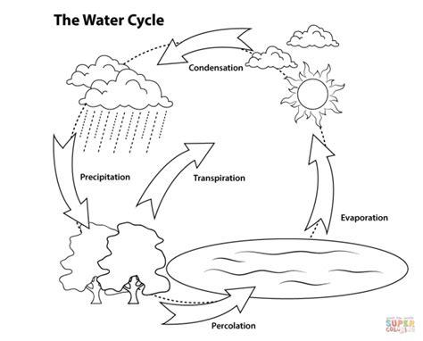 Blank Water Cycle Diagram Printable | Simple water cycle: Aprender a Dibujar Fácil, dibujos de Agua Con Carboncillo, como dibujar Agua Con Carboncillo para colorear