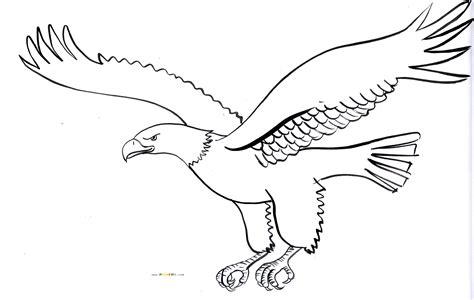 c3a1guila-volando-nic3b1os-dibujos-gratis-para-colorear: Dibujar Fácil, dibujos de Aguilas, como dibujar Aguilas para colorear