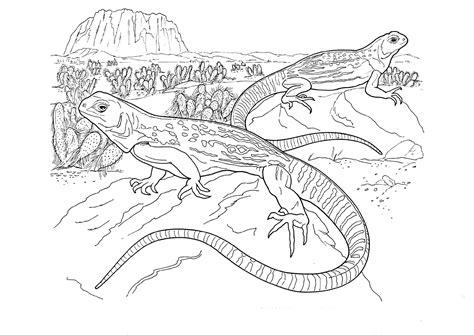 Dibujos infantiles de lagartos para colorear: Aprende como Dibujar y Colorear Fácil, dibujos de Al Lagarto, como dibujar Al Lagarto para colorear