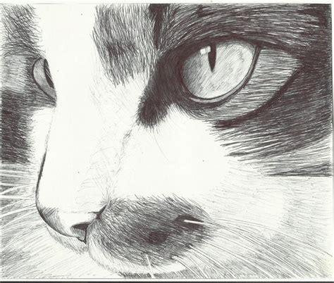 Como Dibujar Un Gato Realista Explicado Paso A Paso: Dibujar Fácil con este Paso a Paso, dibujos de Algo Realista, como dibujar Algo Realista para colorear e imprimir