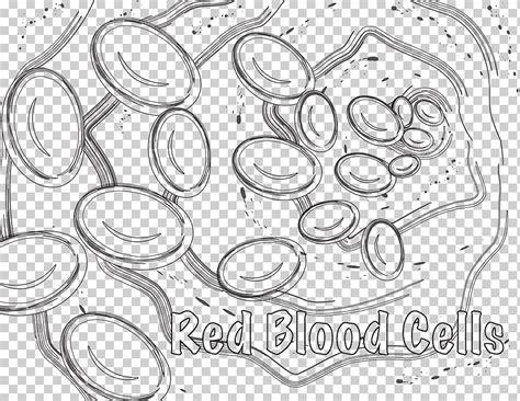 Glóbulos rojos para colorear libro glóbulos blancos: Aprender a Dibujar Fácil con este Paso a Paso, dibujos de Angulos En Autocad, como dibujar Angulos En Autocad para colorear e imprimir