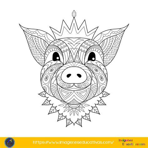 101 mándalas para colorear en tu tiempo libre: Aprende a Dibujar Fácil, dibujos de Animales De Forma Sencilla, como dibujar Animales De Forma Sencilla para colorear e imprimir