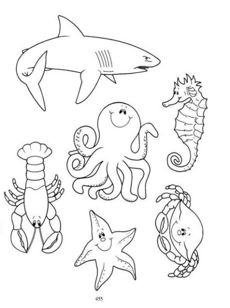 Cómo dibujar Animales Del Mar 】 Paso a Paso Muy Fácil 2023 - Dibuja Fácil