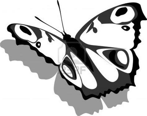 pulgón: mariposas para colorear: Dibujar y Colorear Fácil, dibujos de Animales En 3D, como dibujar Animales En 3D paso a paso para colorear