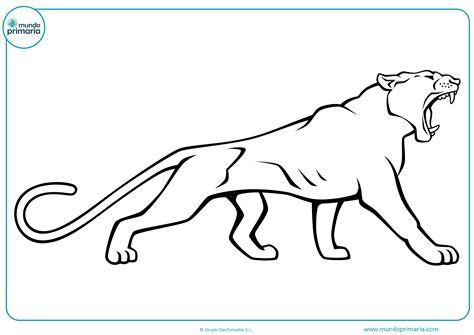 Pin en holi: Dibujar Fácil, dibujos de Animales Feroces, como dibujar Animales Feroces para colorear