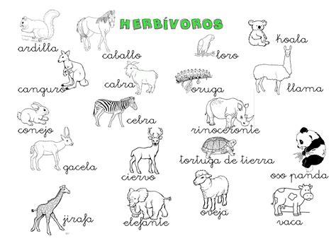 ¿Qué puedo hacer hoy?: Cartel animales herbívoros: Dibujar Fácil con este Paso a Paso, dibujos de Animales Herbivoros, como dibujar Animales Herbivoros para colorear e imprimir