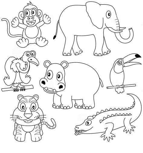 Cómo dibujar Animales Mamiferos 】 Paso a Paso Muy Fácil 2023 - Dibuja Fácil