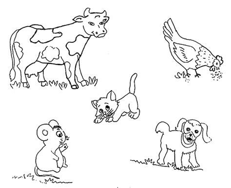 Animales mamiferos para niños - Imagui: Aprender a Dibujar y Colorear Fácil, dibujos de Animales Mamiferos, como dibujar Animales Mamiferos paso a paso para colorear