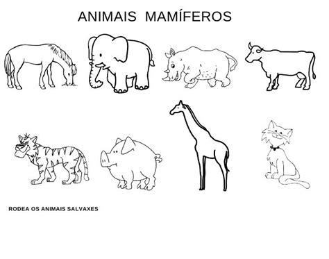 Animales Mamiferos Para Colorear Dibujos Con Sus Nombres: Dibujar Fácil con este Paso a Paso, dibujos de Animales Mamiferos, como dibujar Animales Mamiferos para colorear