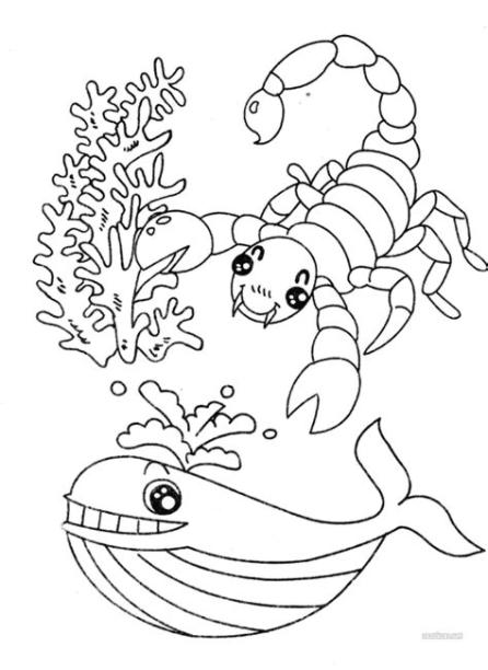 Dibujos animales marinos para colorear para niños: Dibujar y Colorear Fácil con este Paso a Paso, dibujos de Animales Marinos Para Niños, como dibujar Animales Marinos Para Niños para colorear