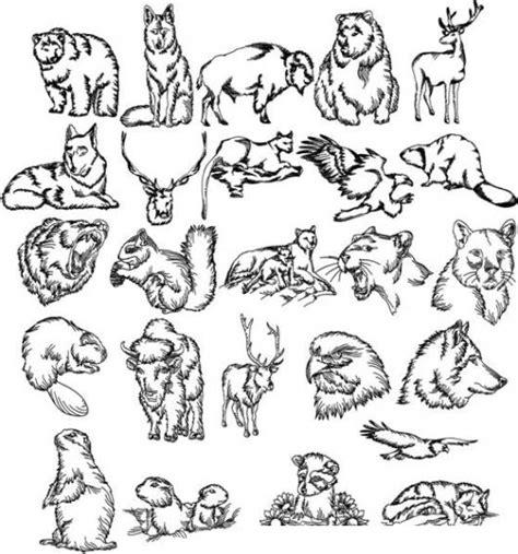 Dibujos De Animales Salvajes Para Imprimir Y Colorear: Aprender a Dibujar y Colorear Fácil con este Paso a Paso, dibujos de Animales Reales, como dibujar Animales Reales paso a paso para colorear