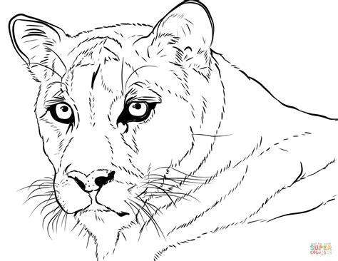 Dibujo de Rostro de un Puma para colorear | Dibujos para: Dibujar Fácil con este Paso a Paso, dibujos de Animales Realistases, como dibujar Animales Realistases para colorear e imprimir