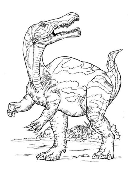 Dibujo para colorear - Caza dinosaurio: Aprende a Dibujar Fácil, dibujos de Animales Realistases, como dibujar Animales Realistases paso a paso para colorear