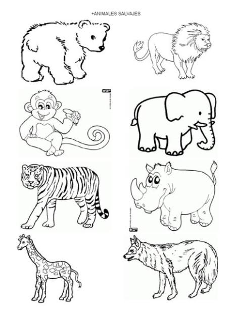 ANIMALES SALVAJES-DOMESTICOS PARA COLOREAR.docx: Aprender a Dibujar Fácil, dibujos de Animales Salvajes Realistas, como dibujar Animales Salvajes Realistas paso a paso para colorear