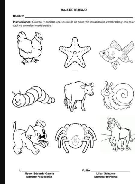 Animales Vertebrados E Invertebrados Para Colorear E: Aprende a Dibujar y Colorear Fácil, dibujos de Animales Vertebrados, como dibujar Animales Vertebrados para colorear e imprimir